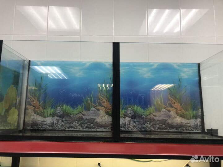 Аквариум