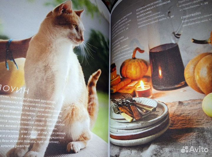 Новая книга рецептов 