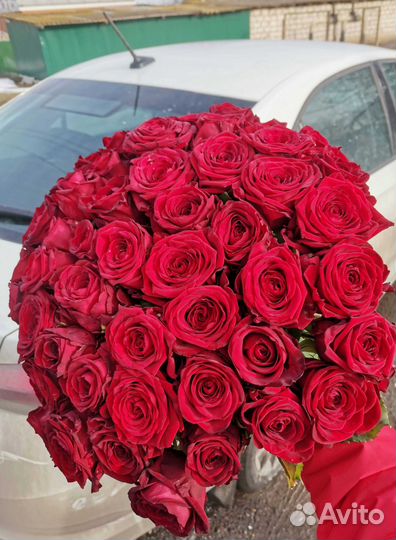 Розы, букет цветов 51 шт