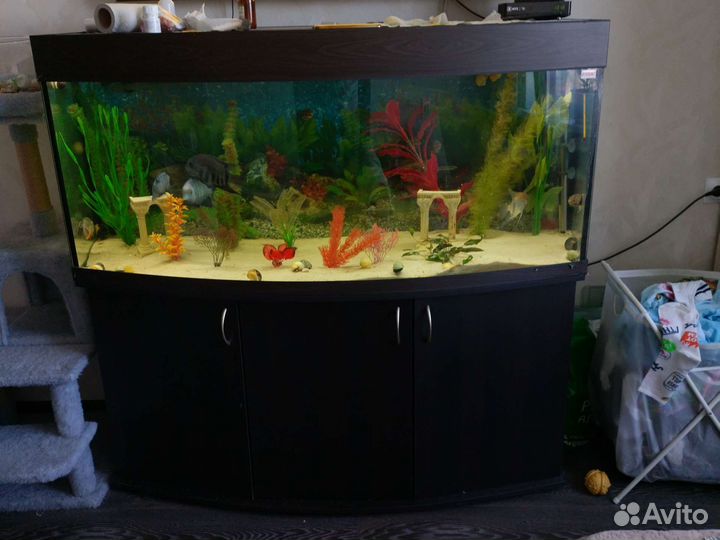 Аквариум 400л
