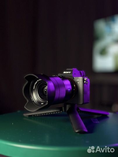 Sony a7 iii + sony 24-70 f4