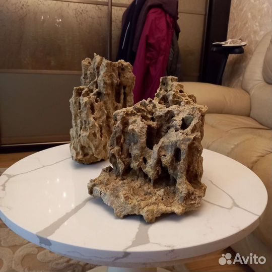 Ракушечник песчаник