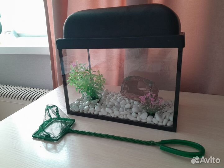 Аквариум + декорации + сачок