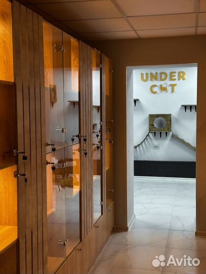 Зоотель,отель для кошек,услуги передержки кошек