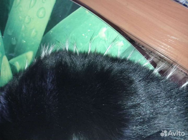 Воротник меховой,натуральный