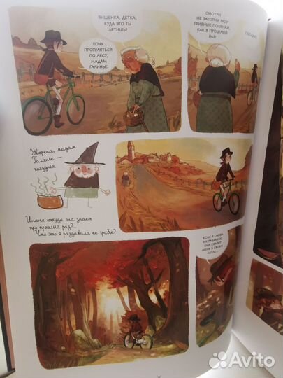 Дневник Вишенки. Жорис Шамблен