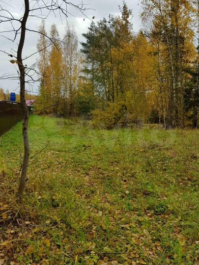 Участок 13,3 сот. (СНТ, ДНП)