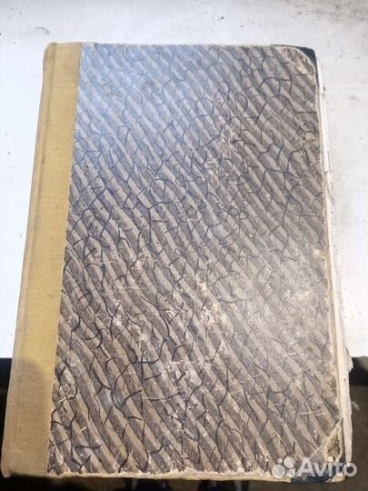 Мир животных