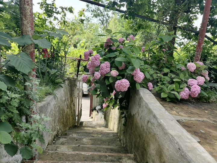 Дом 60 м² на участке 7 сот.