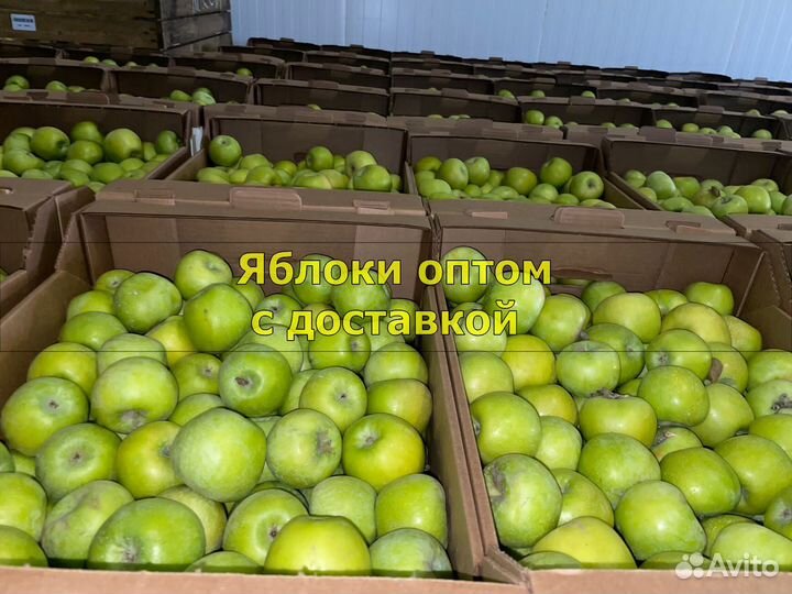 Яблоки оптом с доставкой