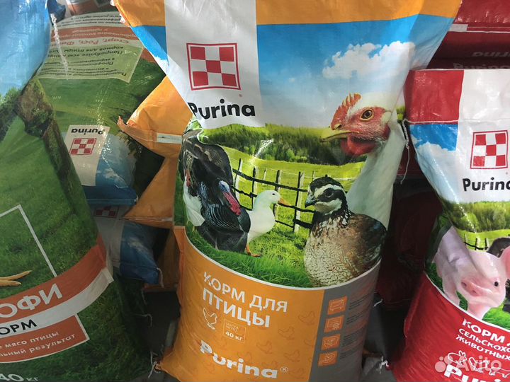 Комбикорм для бройлеров