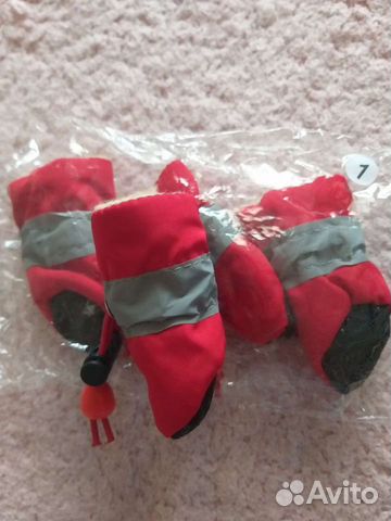 Сапожки для маленькой собачки