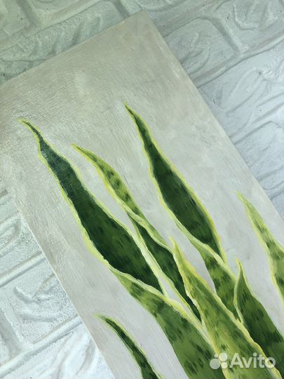 Интерьерная картина Картина «Сансевиерия»