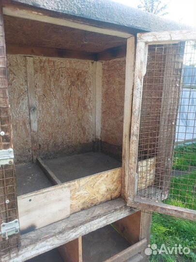 Брудер для птиц