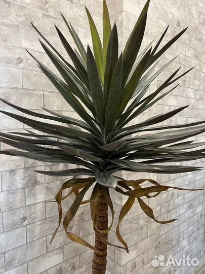 Искусственное дерево Агава