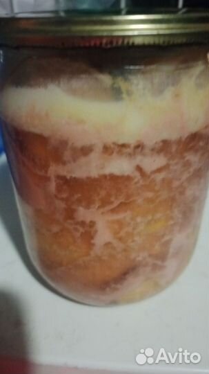 Домашняя тушенка,готовые обеды