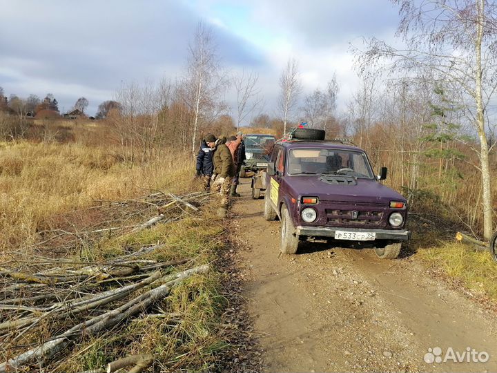 Расчистка участка быстро под ключ