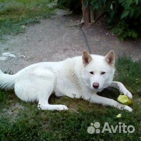 познакомлю бывшего мужа с девушкой)) - Вся Находка - справочник предприятий города Находка