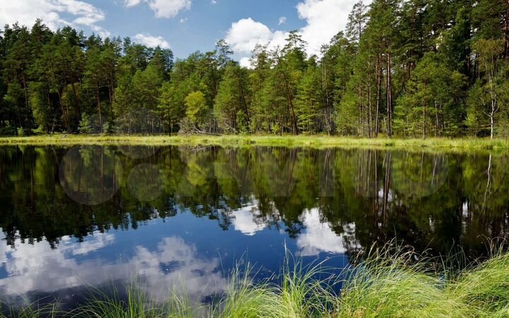 Участок 7,2 сот. (СНТ, ДНП)