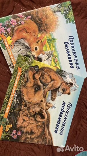 Приключения животных