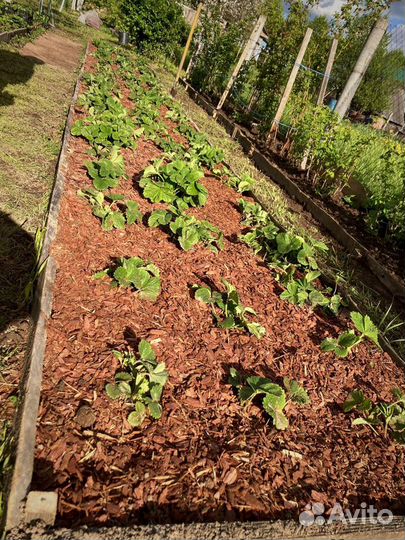 Мульча в наличии. Калуга