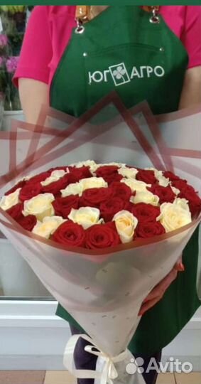 Розы 101, 51, 31, 25 шт. Доставка