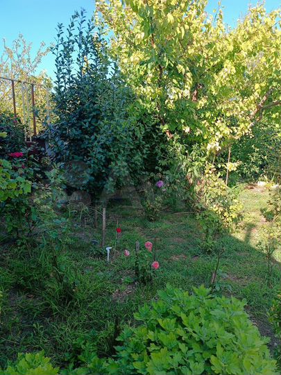 Дача 62,1 м² на участке 12 сот.