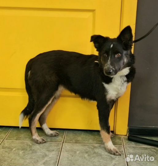 Отдадим малышку в заботливые руки