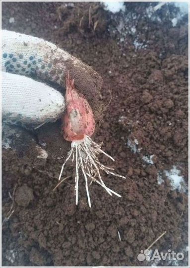 Инвестиции в сельское хозяйство