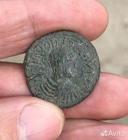 Монета боспора очень редкая