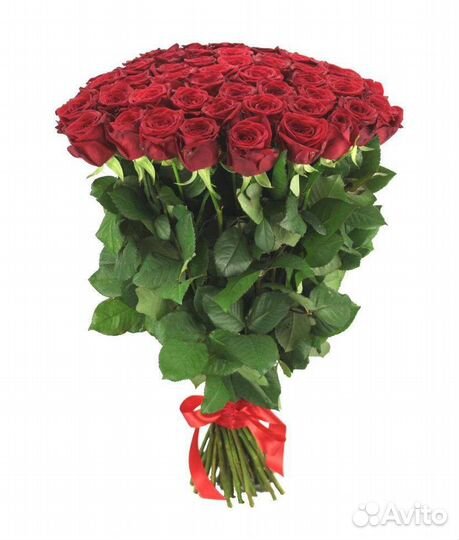 Розы букет 15/25/51/101