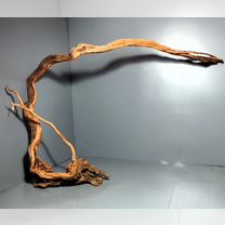 Коряга для аквариума Ротанг 66*20*43 вк201, Зеленоград