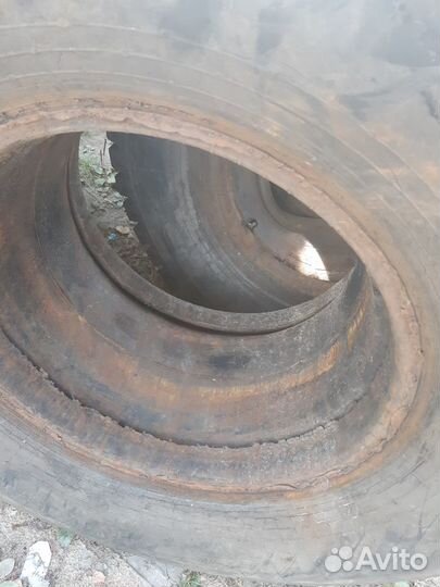 Белшина 16,5/70р18 кф97