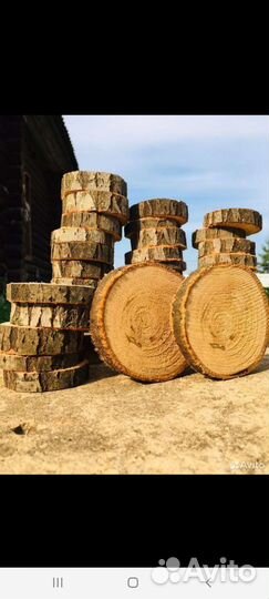 Торцевые спилы деревьев