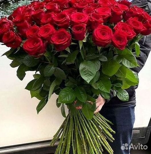 Высокие розы Букеты с доставкой