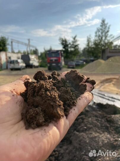 Земля для газонов и посадки