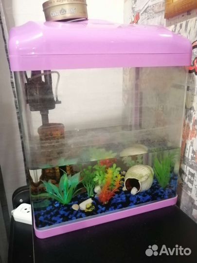 Аквариум