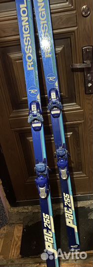 Горные лыжи