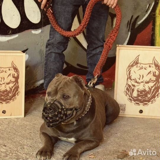 Поводок для собак крупных пород ручной работы