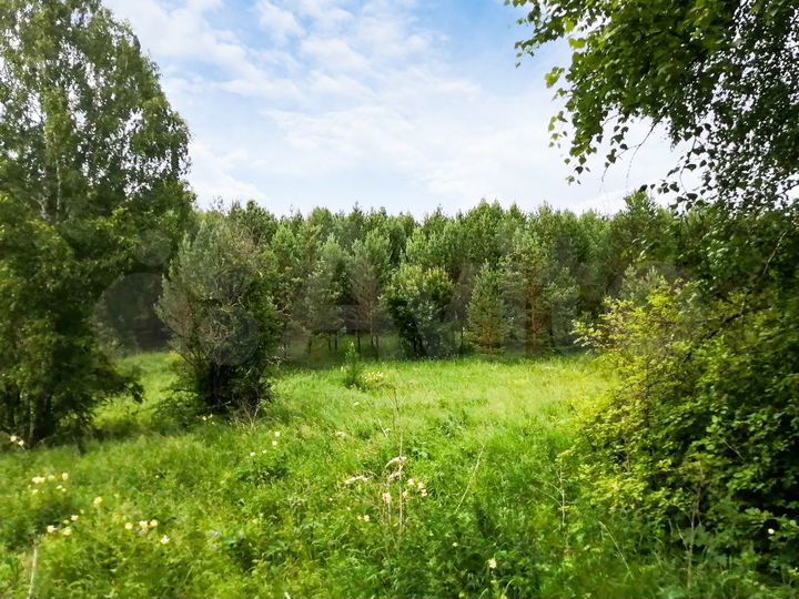 Участок 21,5 сот. (СНТ, ДНП)