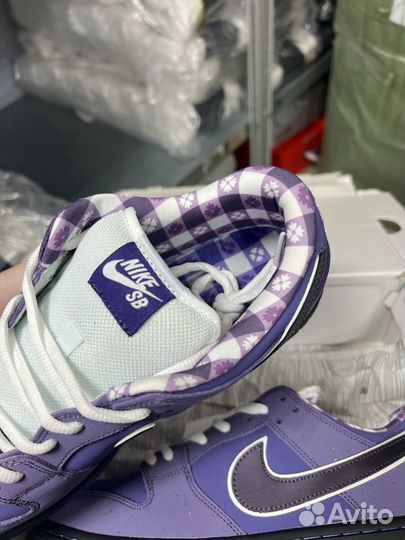 Nike SB dunk low purple Lobster