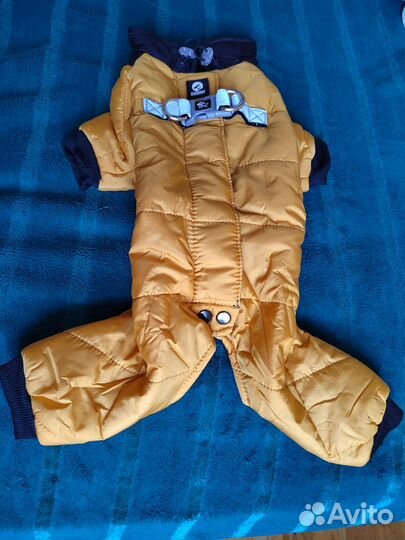 Одежда для собак мелких пород