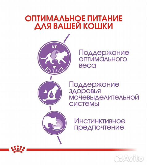 Влажный корм для кошек royal canin