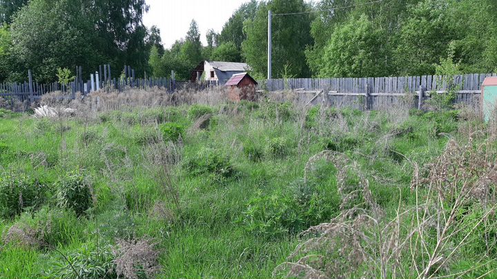 Участок 15 сот. (ИЖС)