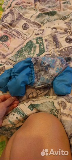 Одежда для маленьких собак