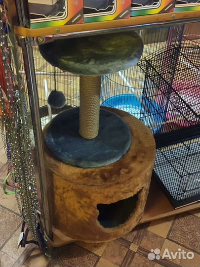 Когтеточки, домики, лежанки, переноски для котов