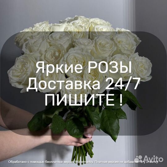 Цветы розы с доставкой 25 51 101 501 1001