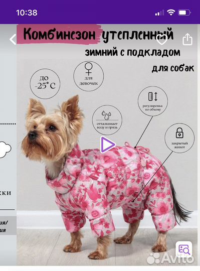 Комбинезон для собаки зимний