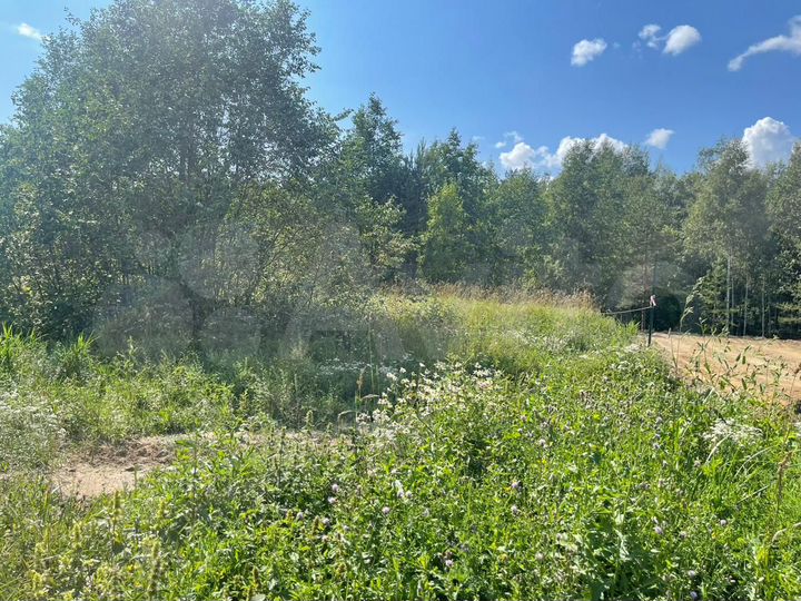 Участок 13,2 сот. (СНТ, ДНП)