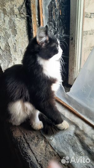 Мальчик очень ласковый